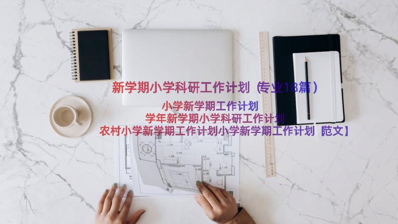 新学期小学科研工作计划（专业18篇）