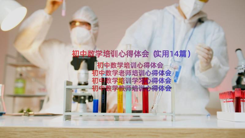 初中数学培训心得体会（实用14篇）