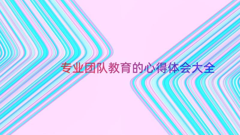 专业团队教育的心得体会大全（16篇）