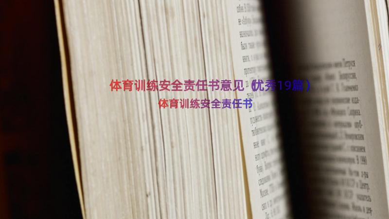 体育训练安全责任书意见（优秀19篇）