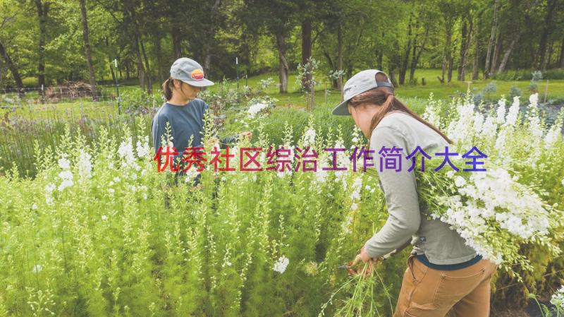 优秀社区综治工作简介大全（17篇）