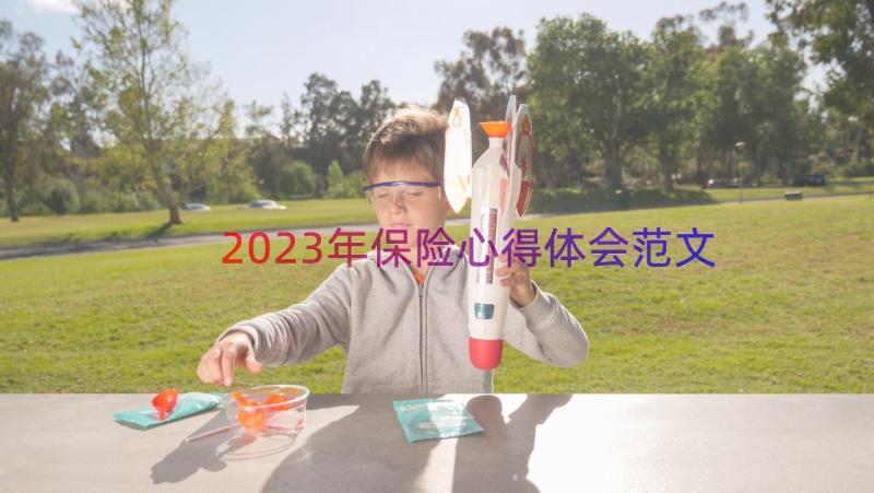 2023年保险心得体会范文（15篇）