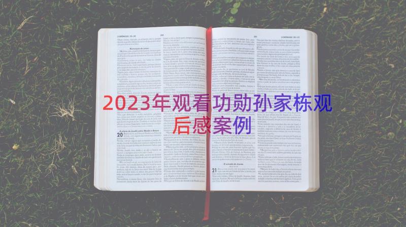 2023年观看功勋孙家栋观后感（案例18篇）