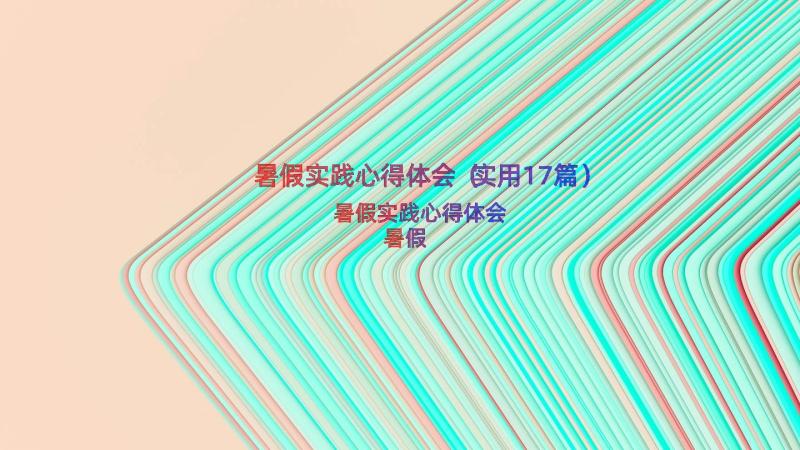 暑假实践心得体会（实用17篇）