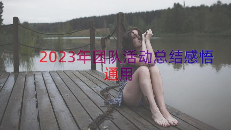 2023年团队活动总结感悟（通用13篇）