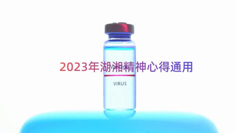 2023年湖湘精神心得（通用18篇）