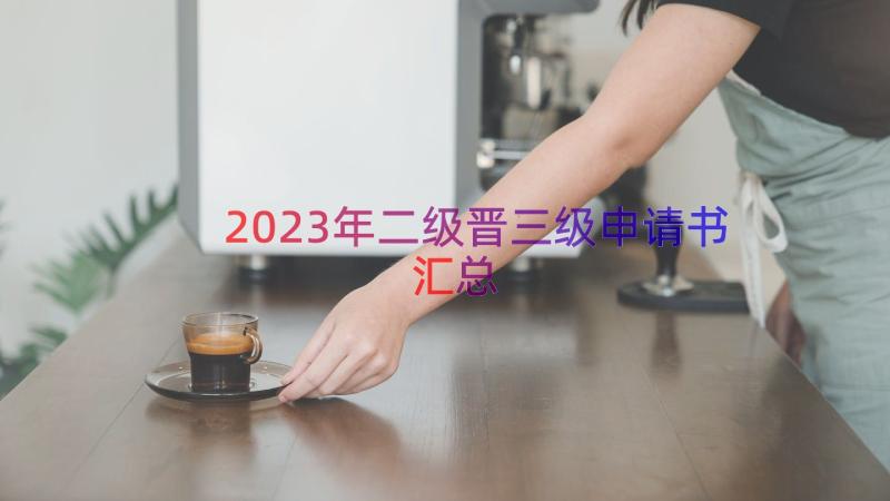 2023年二级晋三级申请书（汇总16篇）