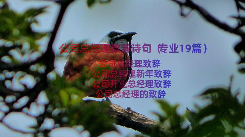 公司总经理致辞诗句（专业19篇）