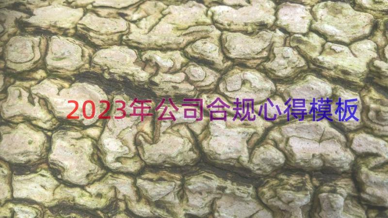 2023年公司合规心得（模板21篇）