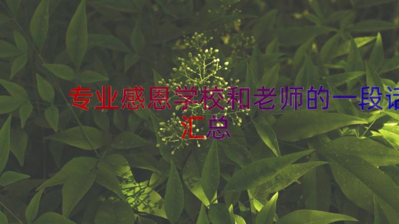 专业感恩学校和老师的一段话（汇总17篇）