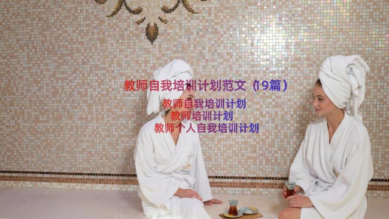 教师自我培训计划范文（19篇）