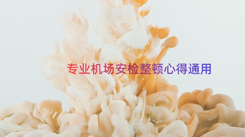 专业机场安检整顿心得（通用18篇）