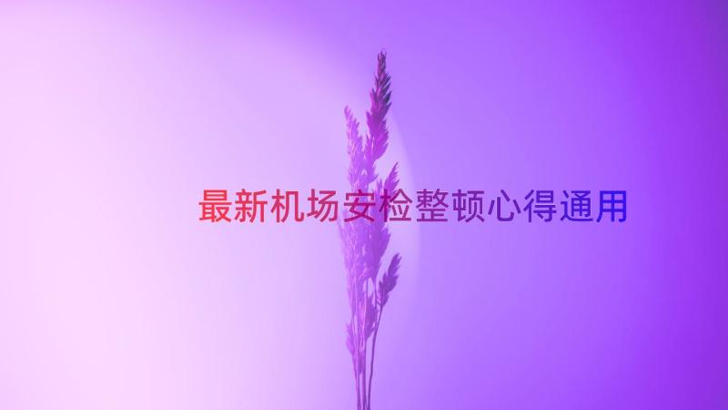 最新机场安检整顿心得（通用19篇）