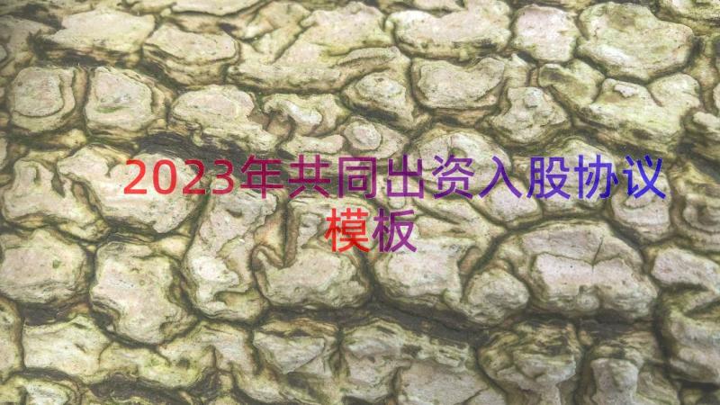 2023年共同出资入股协议（模板17篇）