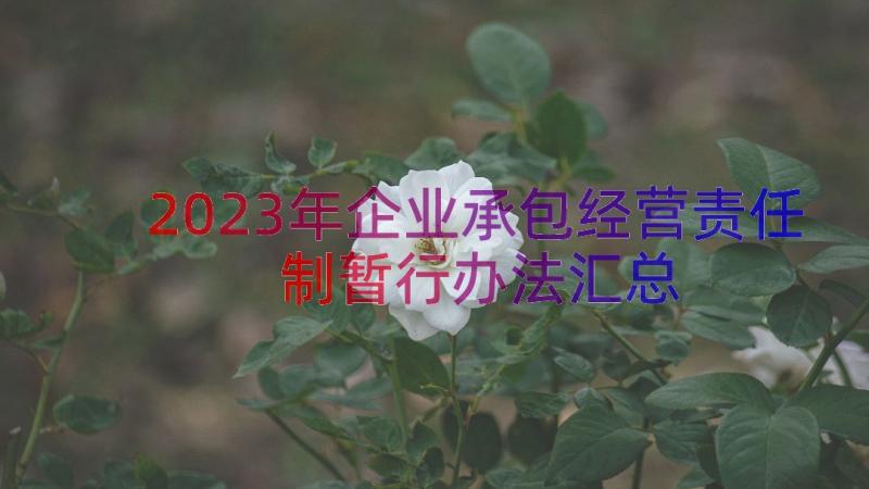 2023年企业承包经营责任制暂行办法（汇总19篇）