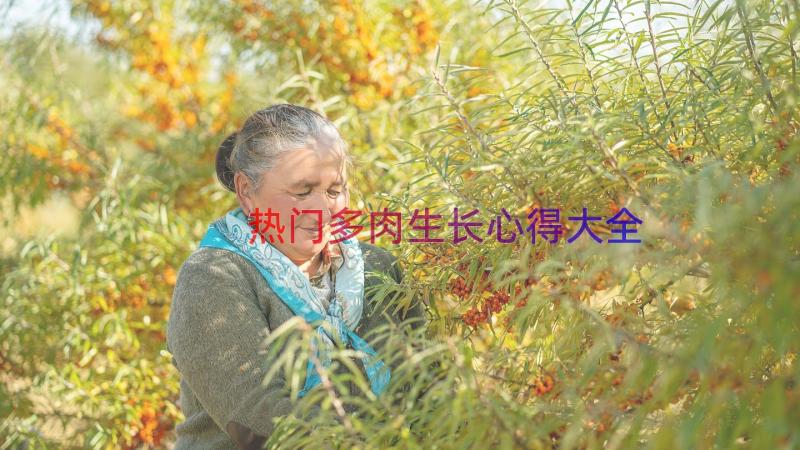 热门多肉生长心得大全（15篇）