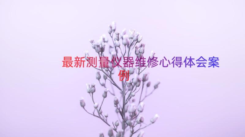 最新测量仪器维修心得体会（案例14篇）