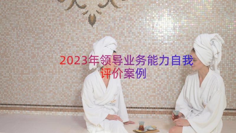 2023年领导业务能力自我评价（案例19篇）