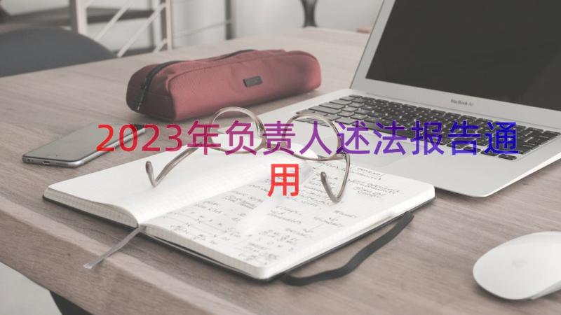 2023年负责人述法报告（通用18篇）