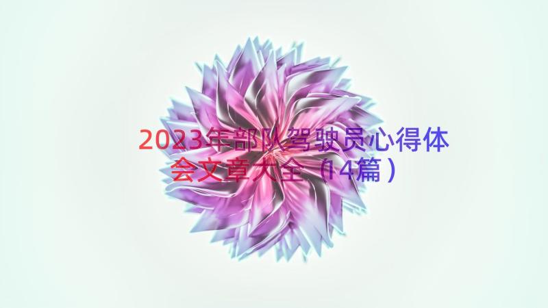 2023年部队驾驶员心得体会文章大全（14篇）