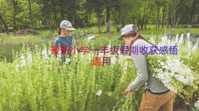 最新小学一年级假期收获感悟（通用16篇）