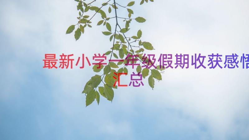 最新小学一年级假期收获感悟（汇总16篇）