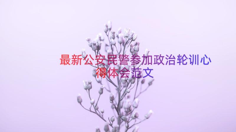 最新公安民警参加政治轮训心得体会范文（14篇）