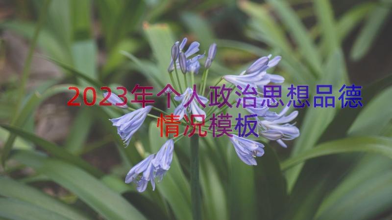 2023年个人政治思想品德情况（模板16篇）