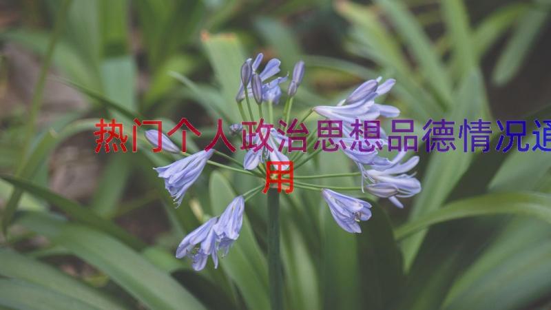 热门个人政治思想品德情况（通用13篇）