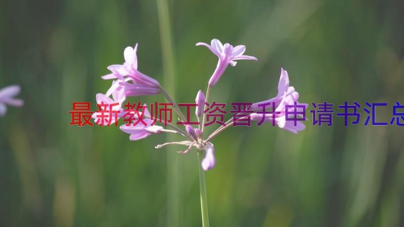 最新教师工资晋升申请书（汇总19篇）