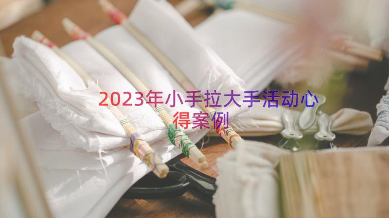 2023年小手拉大手活动心得（案例12篇）