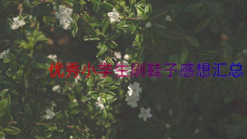 优秀小学生刷鞋子感想（汇总15篇）