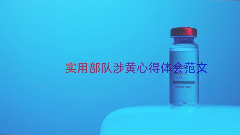 实用部队涉黄心得体会范文（16篇）