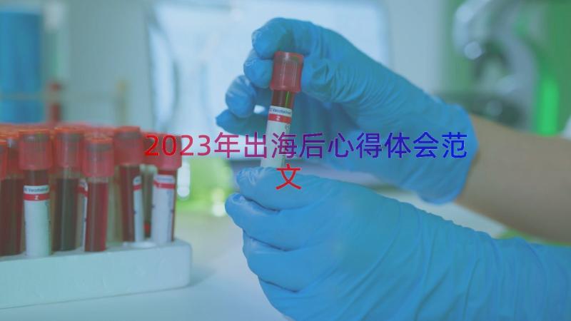 2023年出海后心得体会范文（16篇）