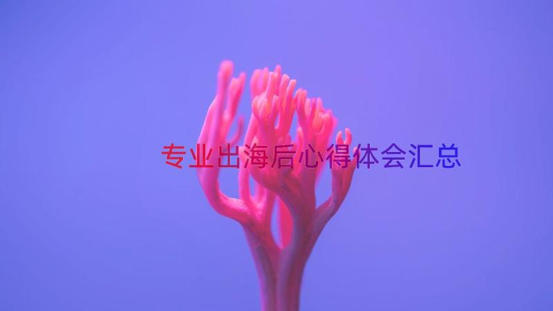 专业出海后心得体会（汇总18篇）