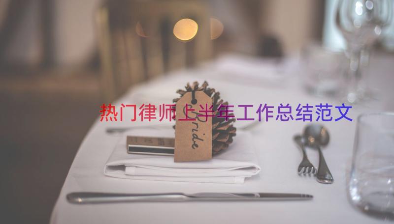 热门律师上半年工作总结范文（20篇）