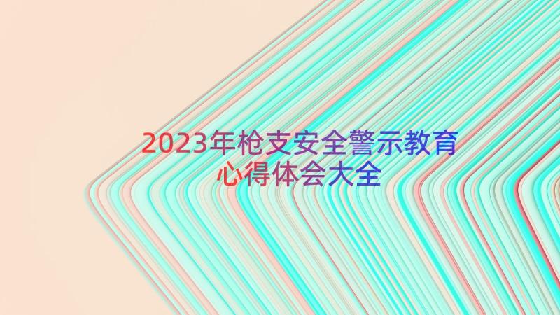 2023年枪支安全警示教育心得体会大全（17篇）