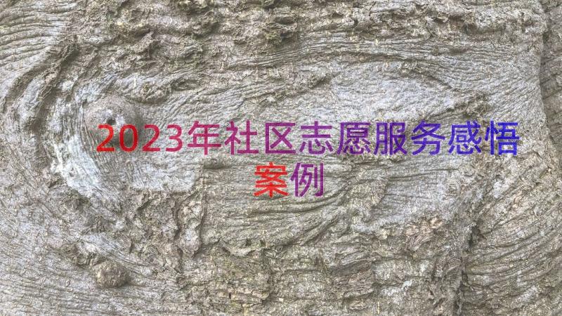 2023年社区志愿服务感悟（案例18篇）