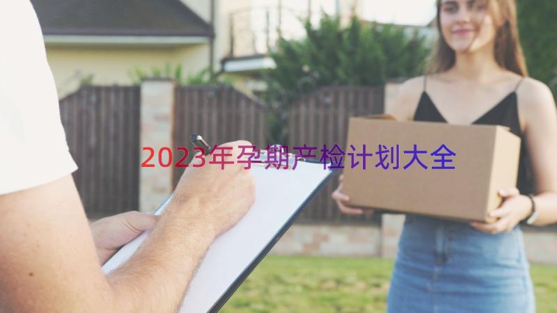 2023年孕期产检计划大全（16篇）