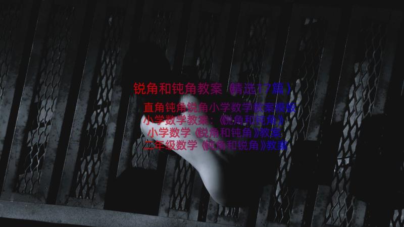 锐角和钝角教案（精选17篇）