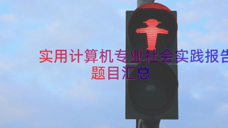 实用计算机专业社会实践报告题目（汇总16篇）