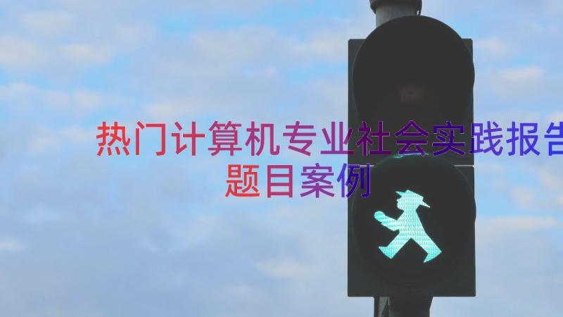 热门计算机专业社会实践报告题目（案例20篇）