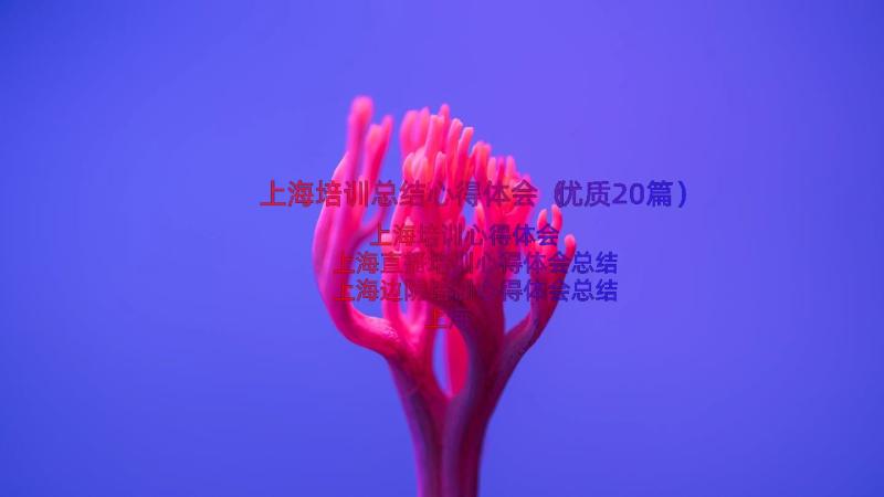 上海培训总结心得体会（优质20篇）