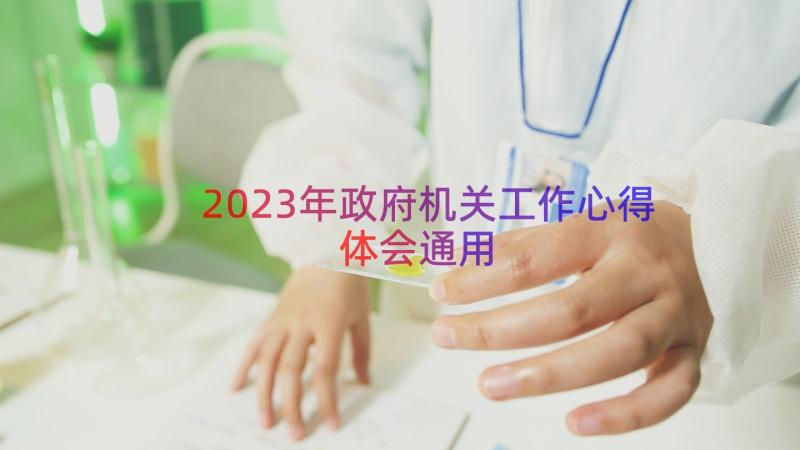 2023年政府机关工作心得体会（通用20篇）