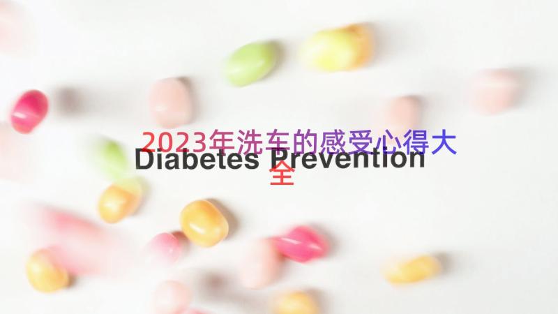 2023年洗车的感受心得大全（12篇）