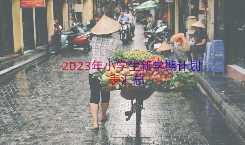 2023年小学生新学期计划表（汇总13篇）