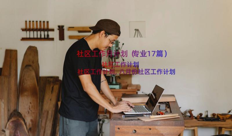 社区工作月计划（专业17篇）