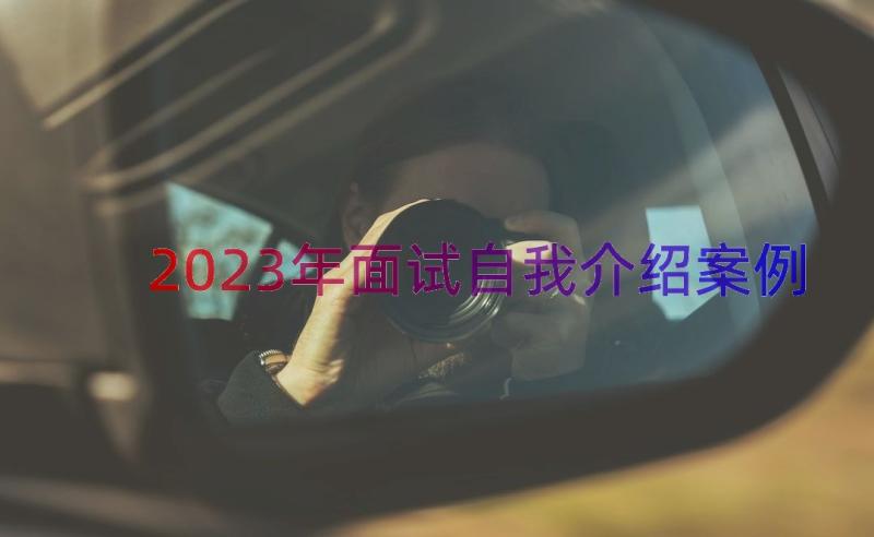 2023年面试自我介绍（案例14篇）