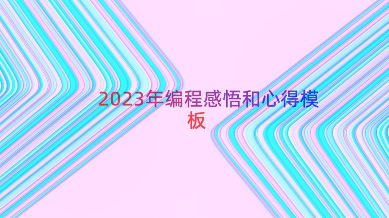 2023年编程感悟和心得（模板14篇）