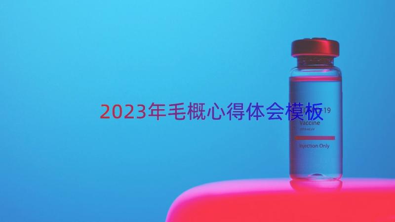 2023年毛概心得体会（模板18篇）